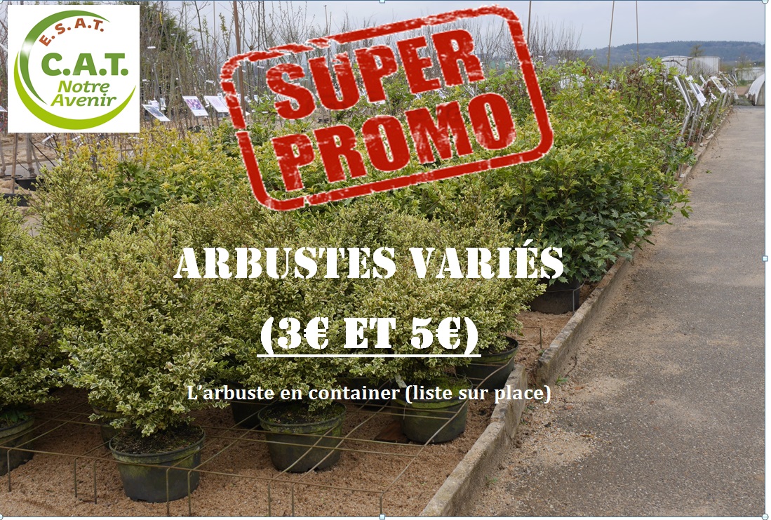 promo arbustes variés 2018