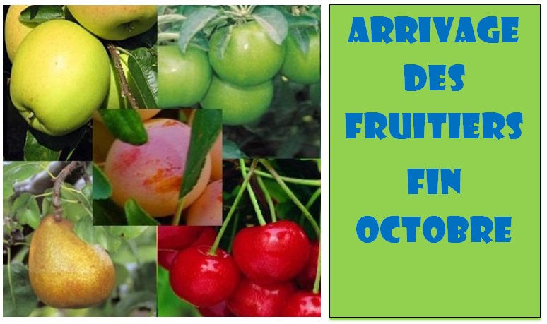 arrivage fruitiers