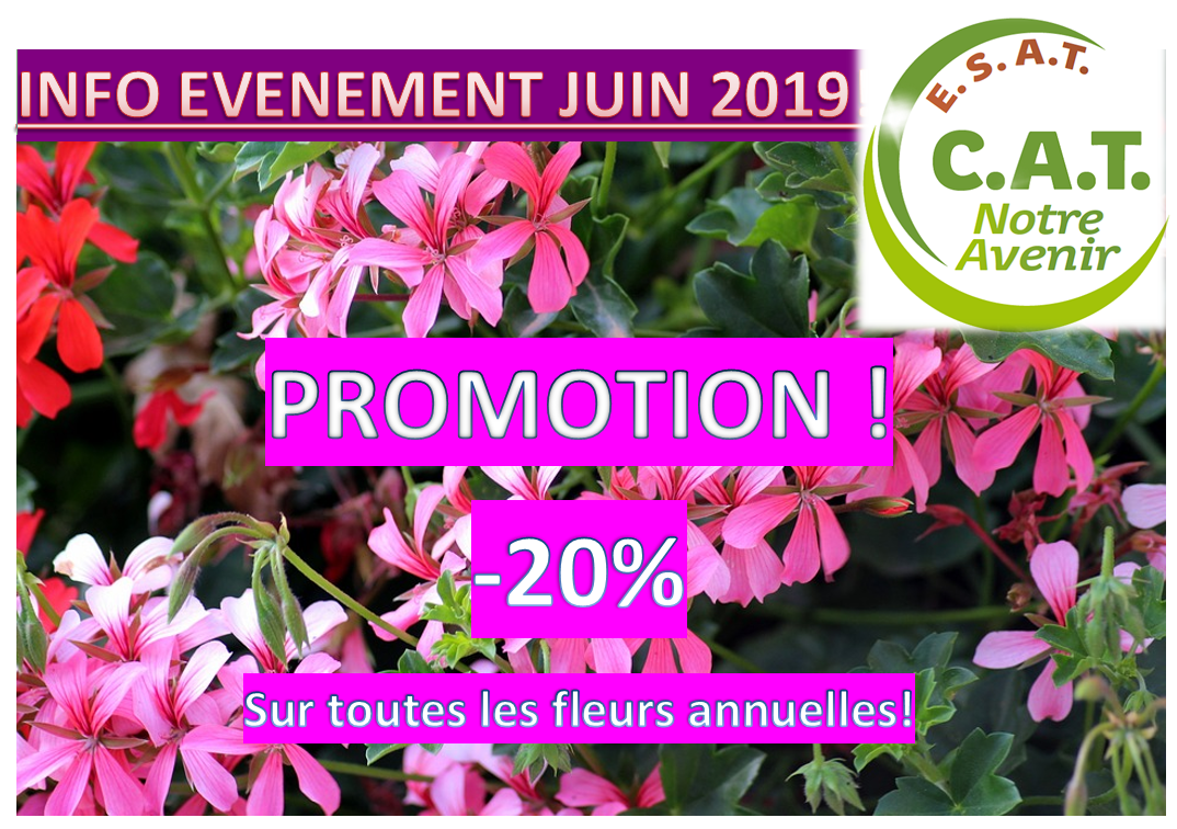 PROMO ANNUELS CAT