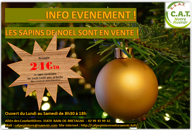 Sapins de noel