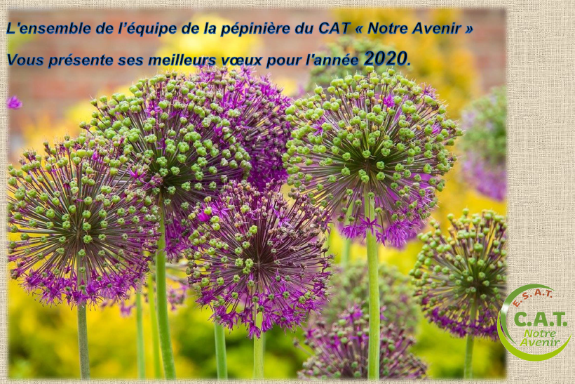 Voeux 2020