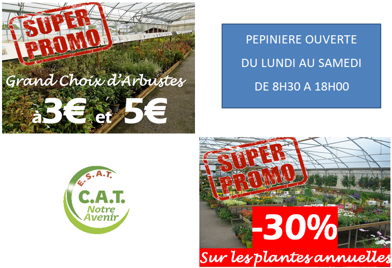 promo