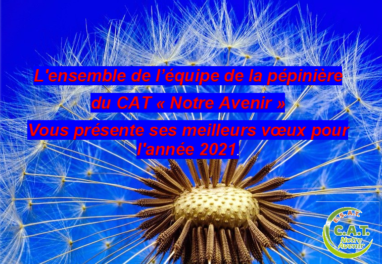 Bonne année 2021 pépinière